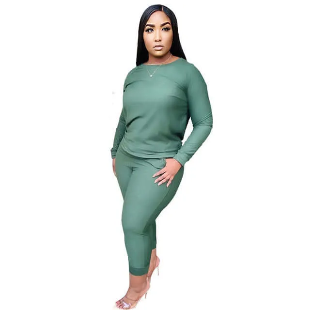 Active wear -women solid color two piece set long sleeve tops and pants suit