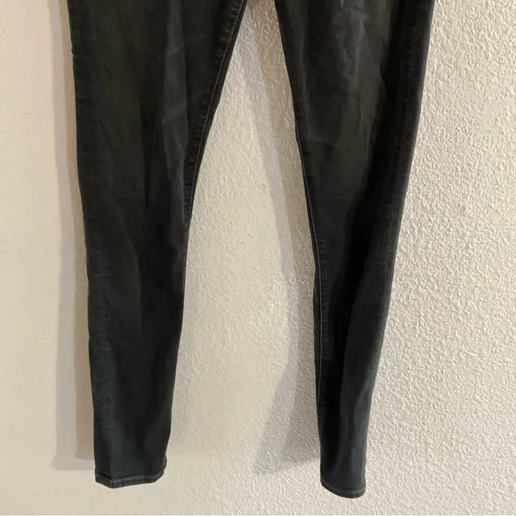 AG-ED ADRIANO GOLDSCHMIES The Farrah High Rise Skinny Ankle Jeans