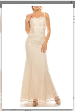 Aidan Mattox 054468970 Champ Ivory Embroidered Lace Trumpet Evening Dress