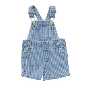 Blue Stripe Short Overalls