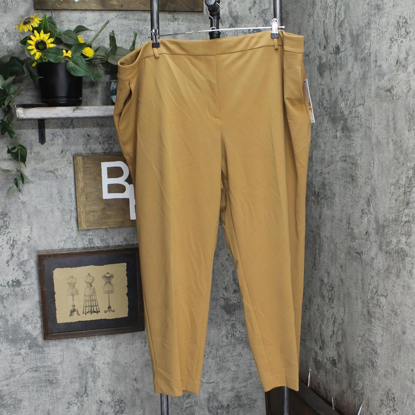 Calvin Klein Womens Plus Size Straight-Leg Ankle Pants X38PC006
