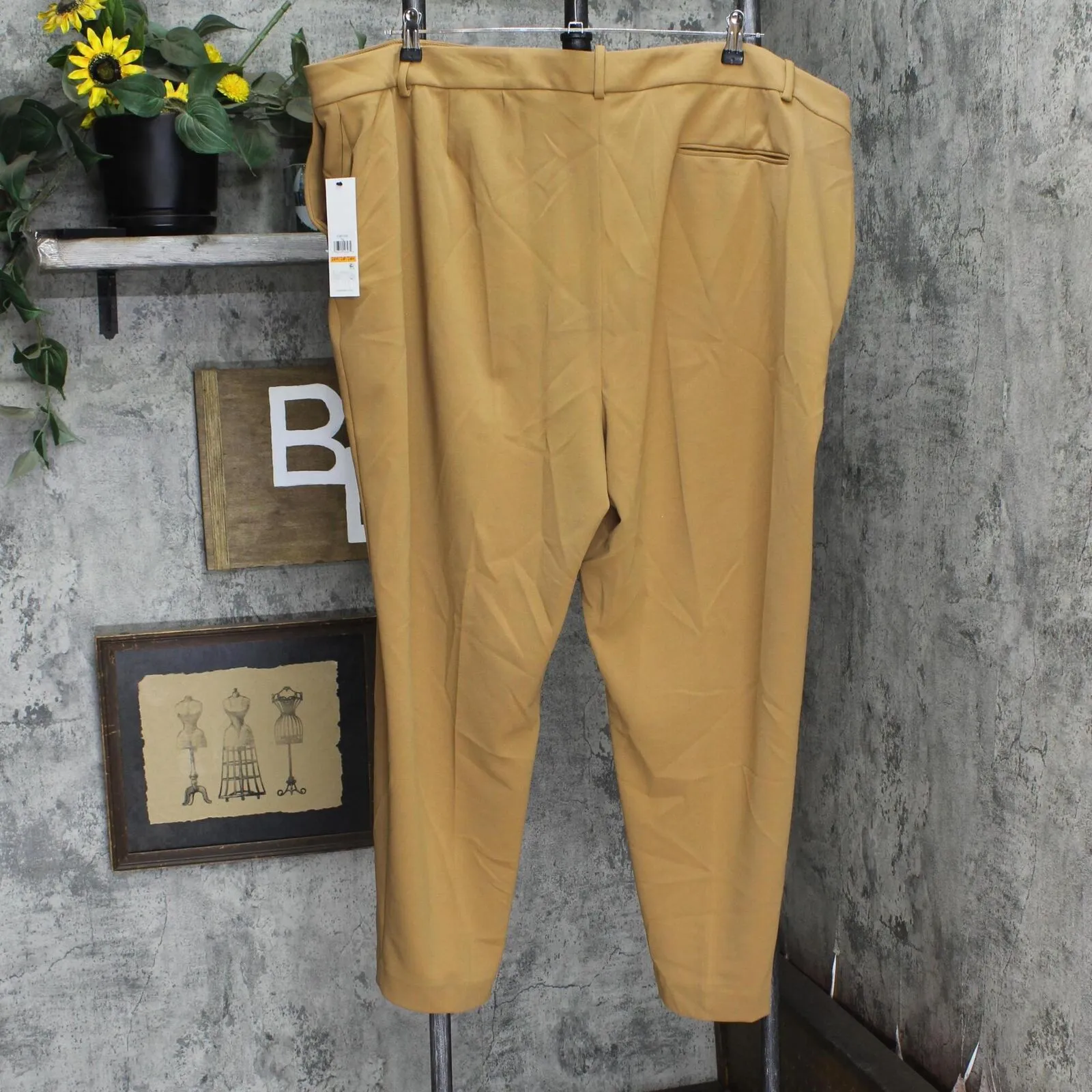 Calvin Klein Womens Plus Size Straight-Leg Ankle Pants X38PC006