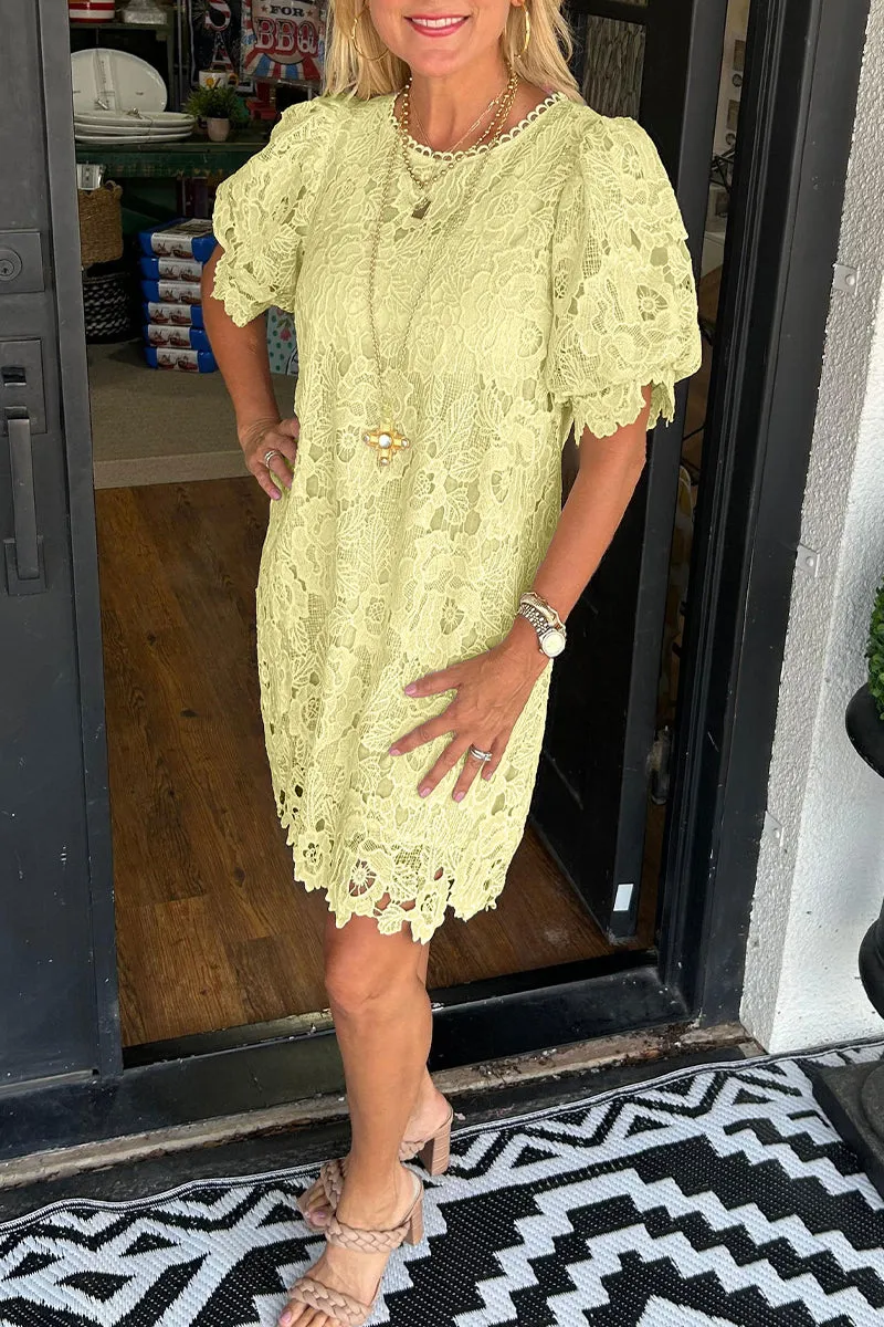 Casual Lace O Neck Short Sleeve Dresses(7 Colors)