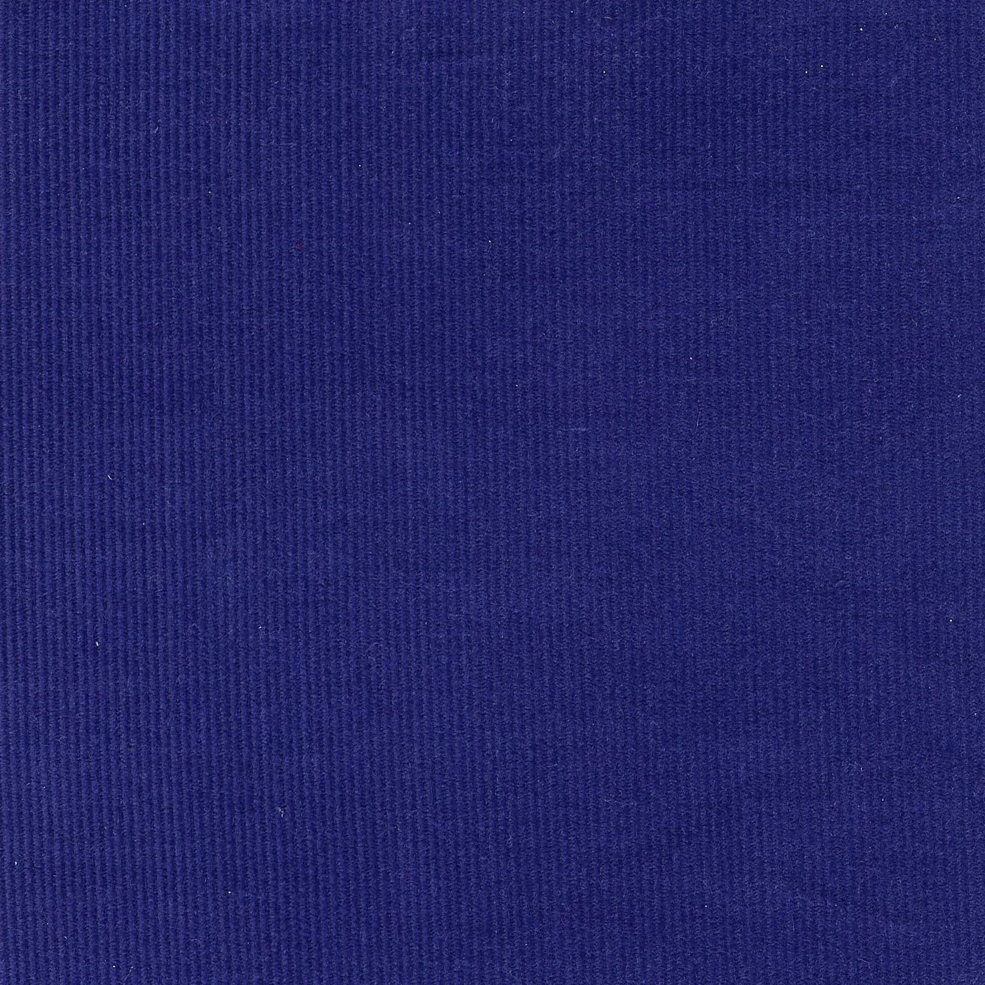 CORD-Royal Blue