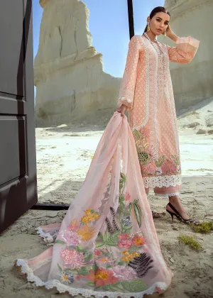 CRIMSON BY SAIRA SHAKIRA | Jewel by the Beach-Summer Blooms - 6B - Blush