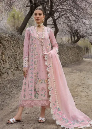 CRIMSON LAWN 2024 | Believe In Her - Blush Pink