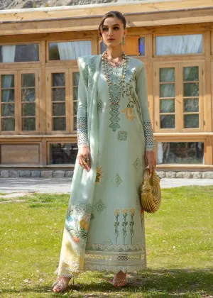 CRIMSON LAWN 2024 | Into The Wild - Aqua