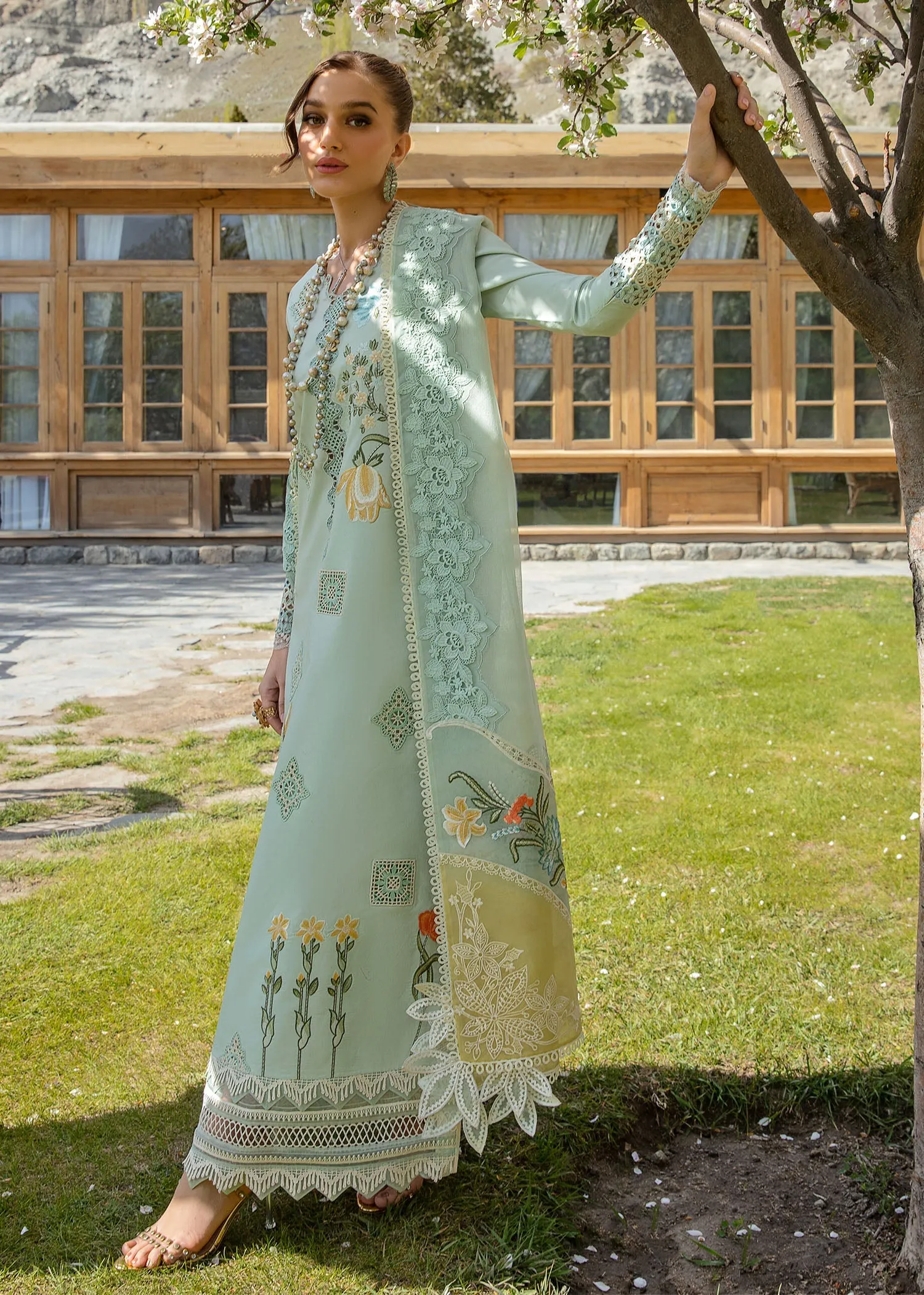 CRIMSON LAWN 2024 | Into The Wild - Aqua