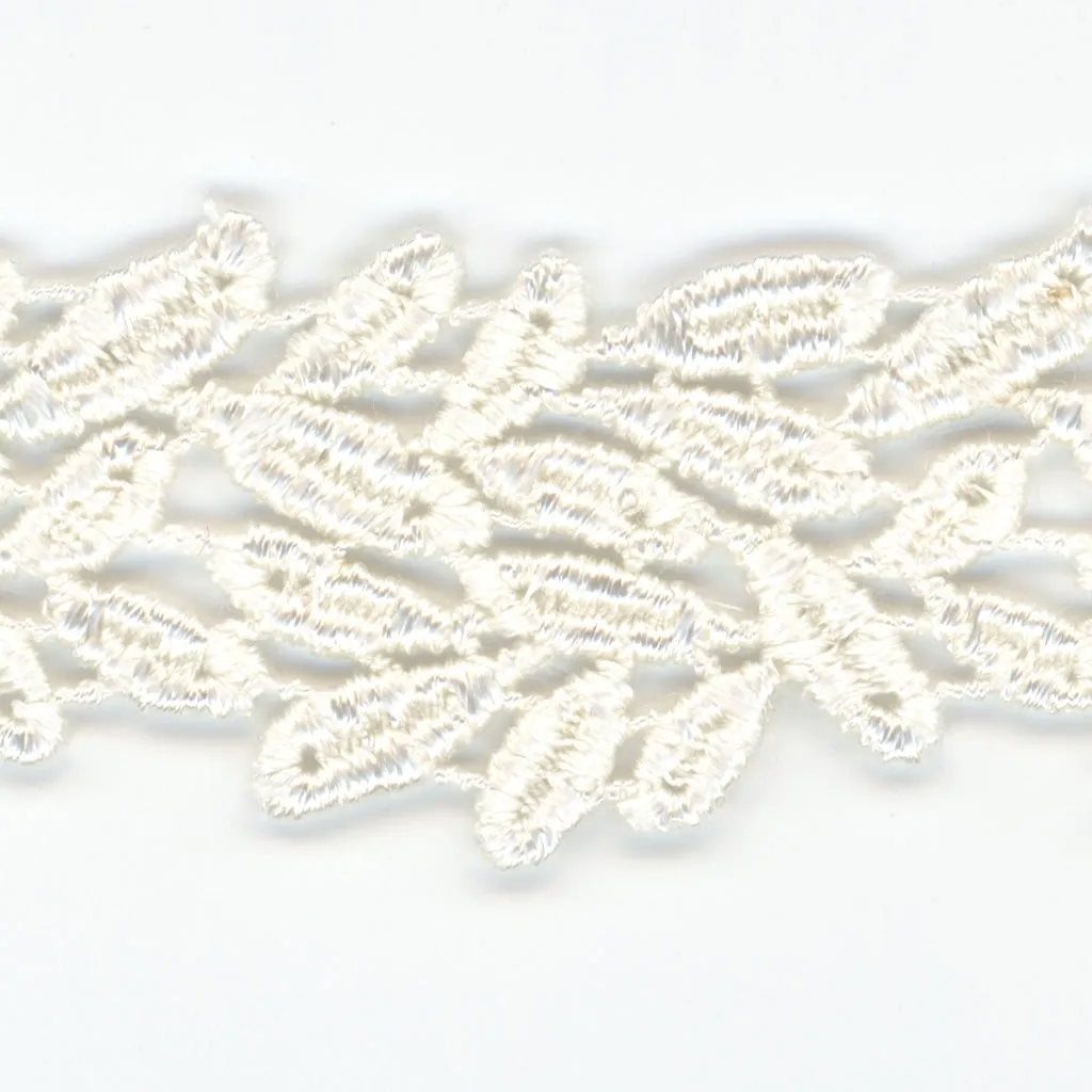 Embroidered Chemical Lace #00 Off White
