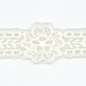Embroidered Tulle Lace #00 Off White