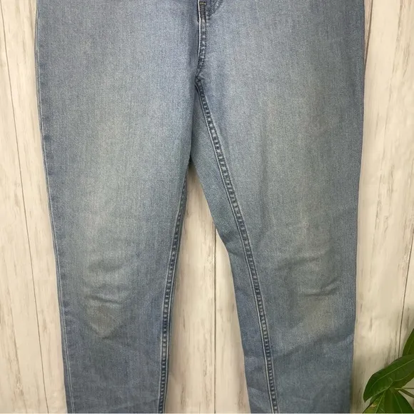 Everlane high waisted light wash jeans 28