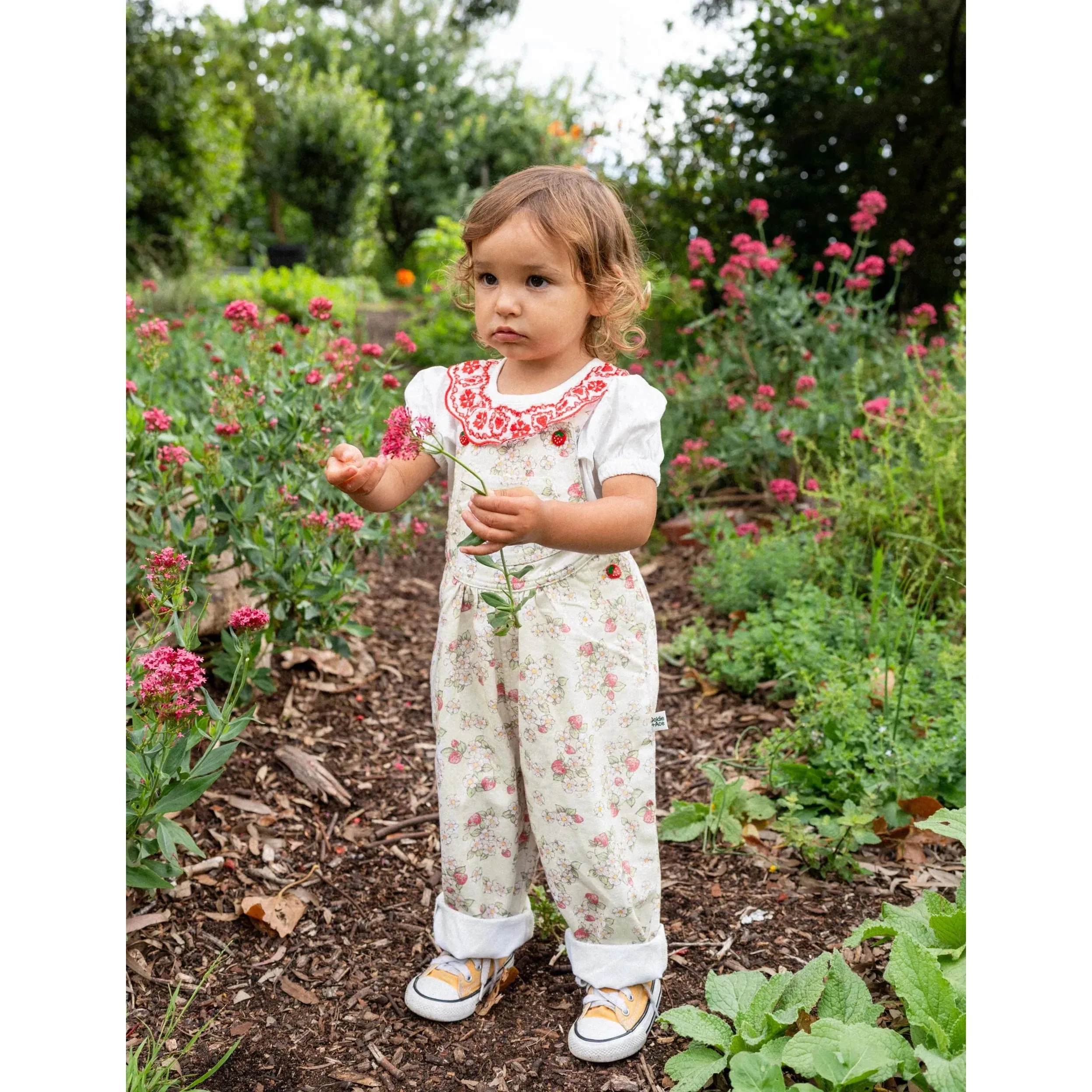 Greta Embroidered Collar Top