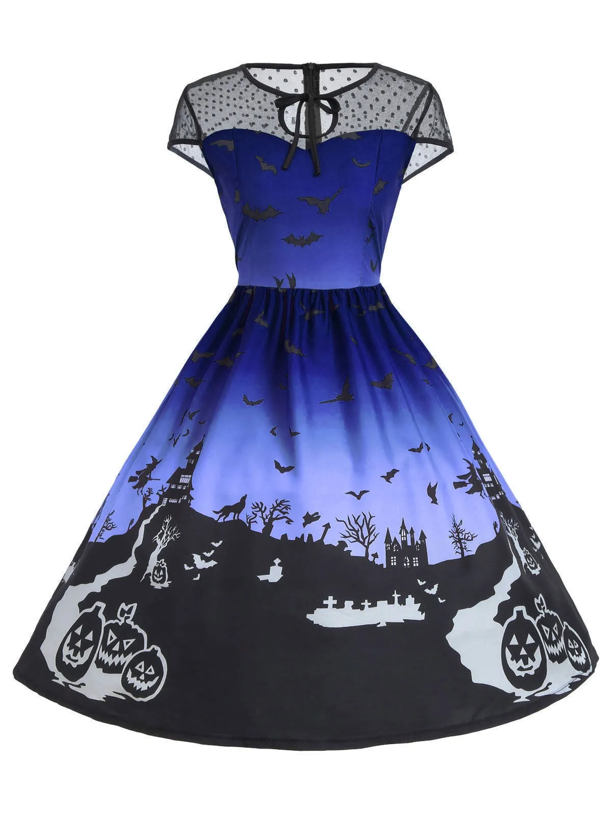 Lace Mesh A Line Short Dress for Women 3979