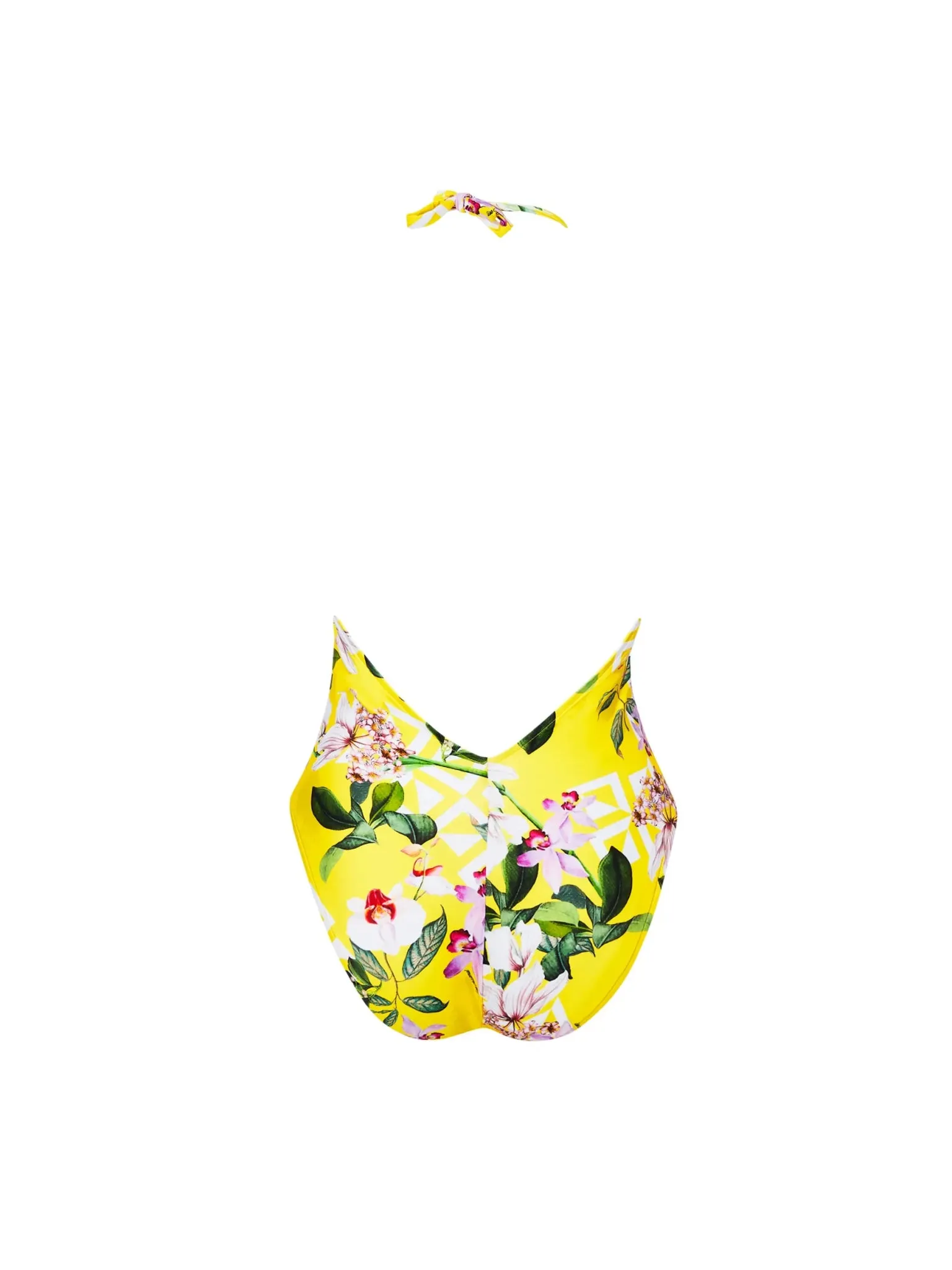Lise Charmel Jardin Delice Seductive Plunge One Piece