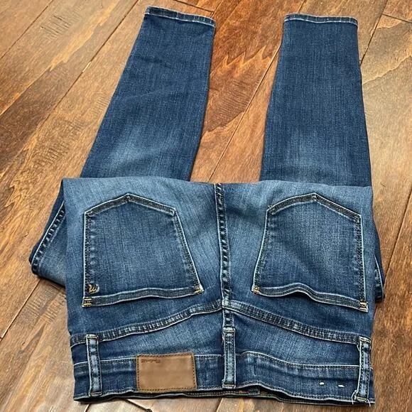 Madewell 10&quot; High Rise Skinny Jean Danny Wash TENCEL Denim Edition Size 25