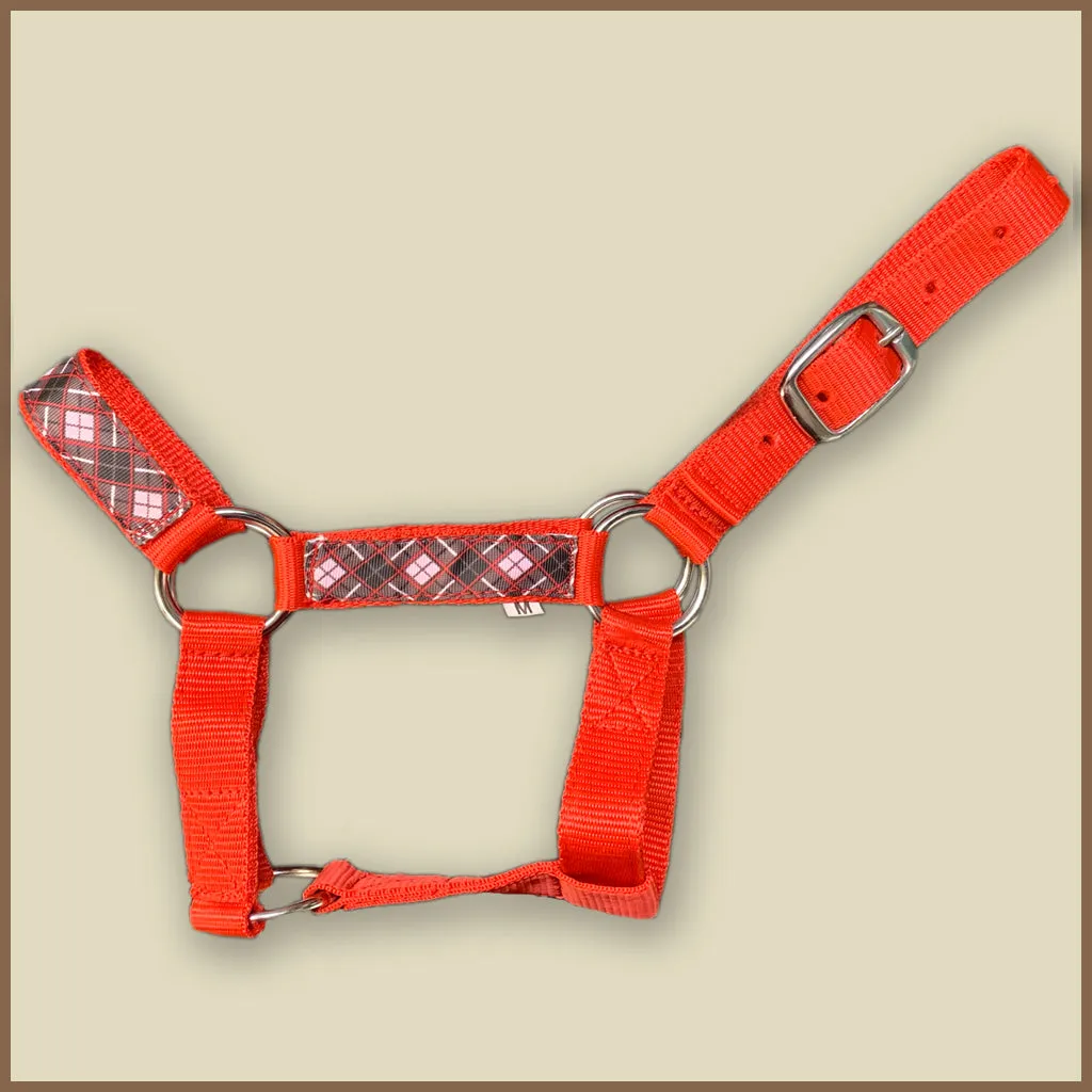 Miniature Donkey Halter