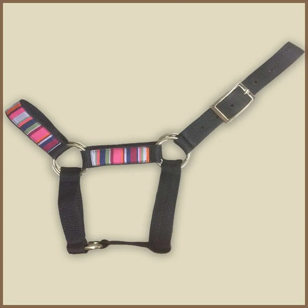 Miniature Donkey Halter