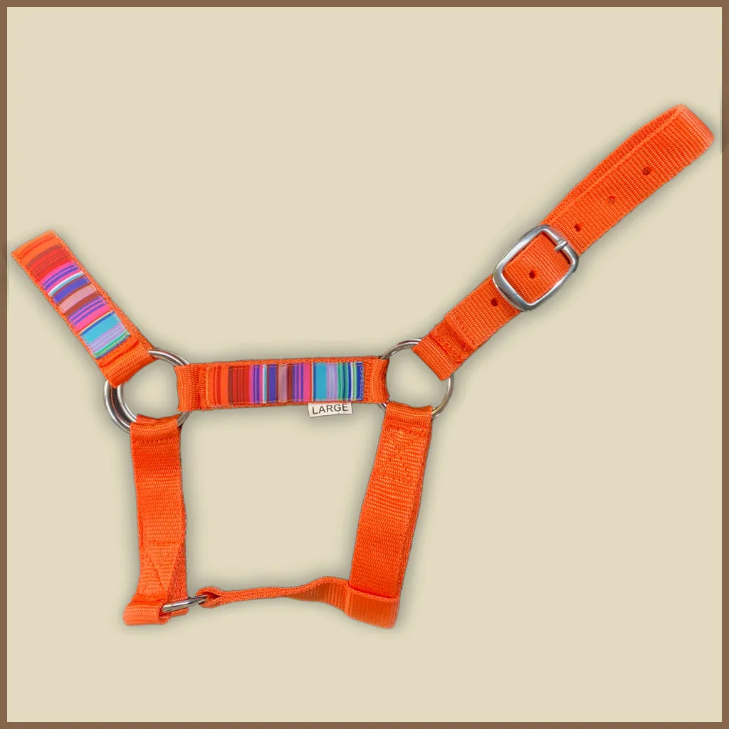 Miniature Donkey Halter