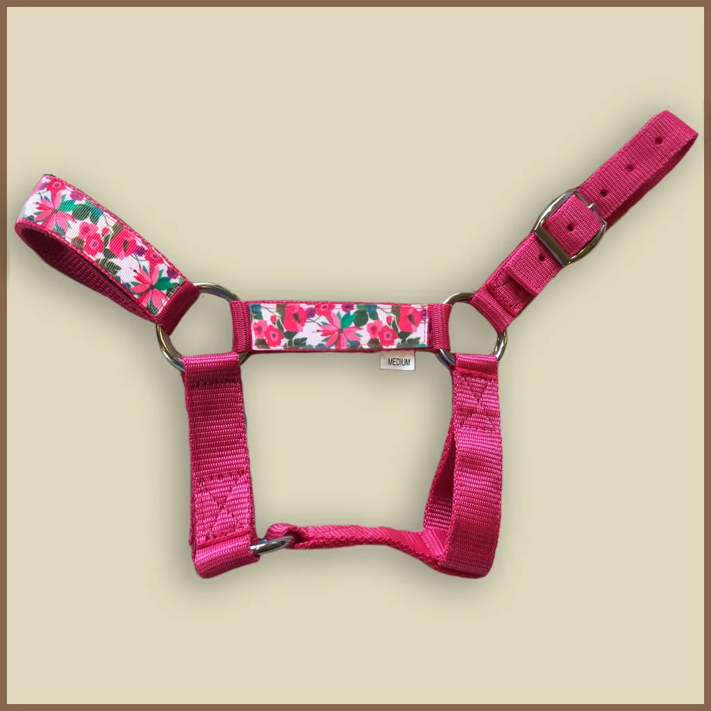 Miniature Donkey Halter