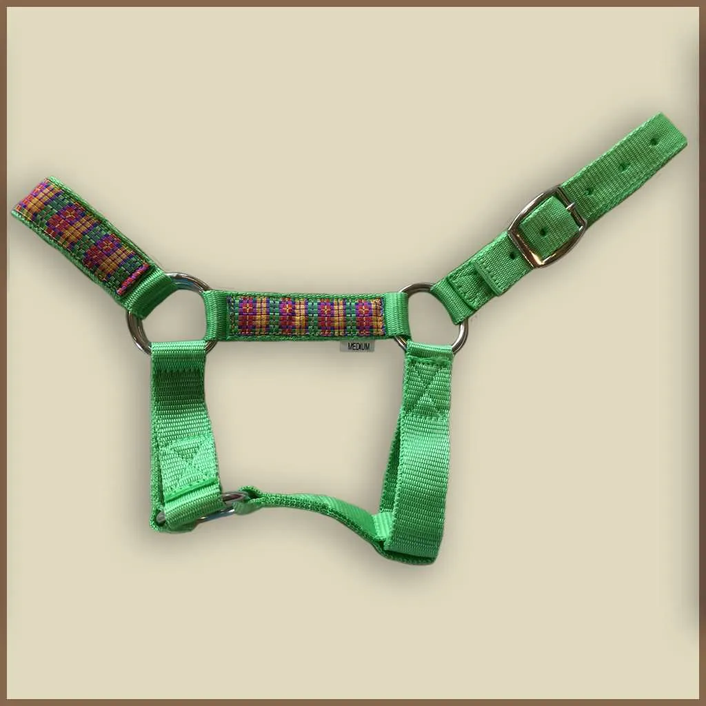 Miniature Donkey Halter