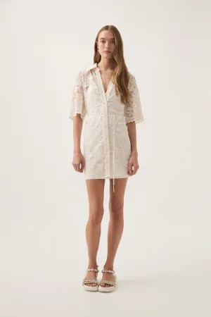 Muses Lace Mini Dress