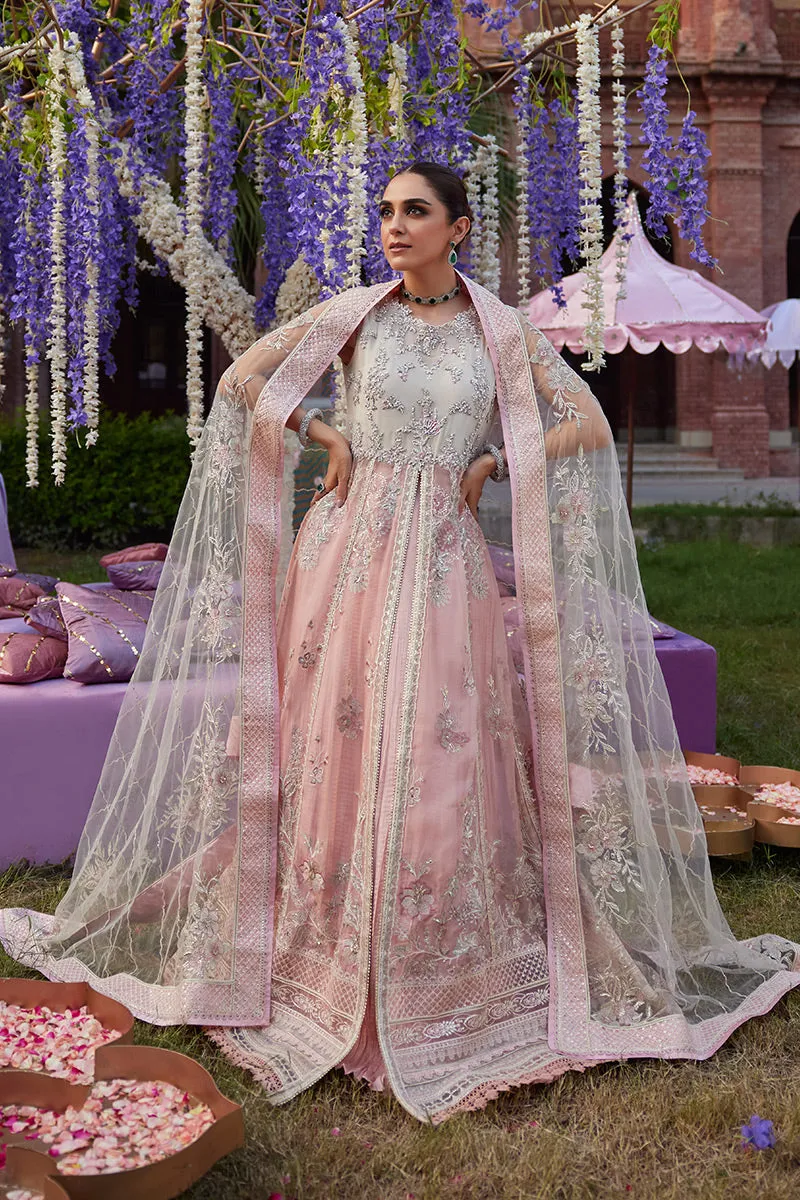 MUSHQ | IZHAR - Luxury Chiffon Collection'23 |  MISHAAL