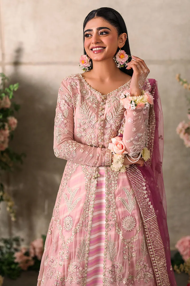 MUSHQ | Mastani Evening Luxury Chiffon Collection | MAISHA