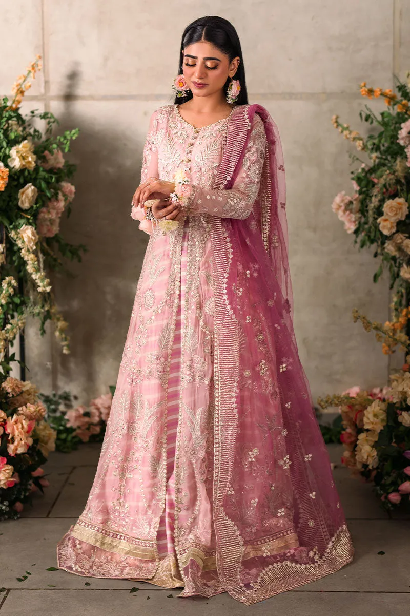 MUSHQ | Mastani Evening Luxury Chiffon Collection | MAISHA