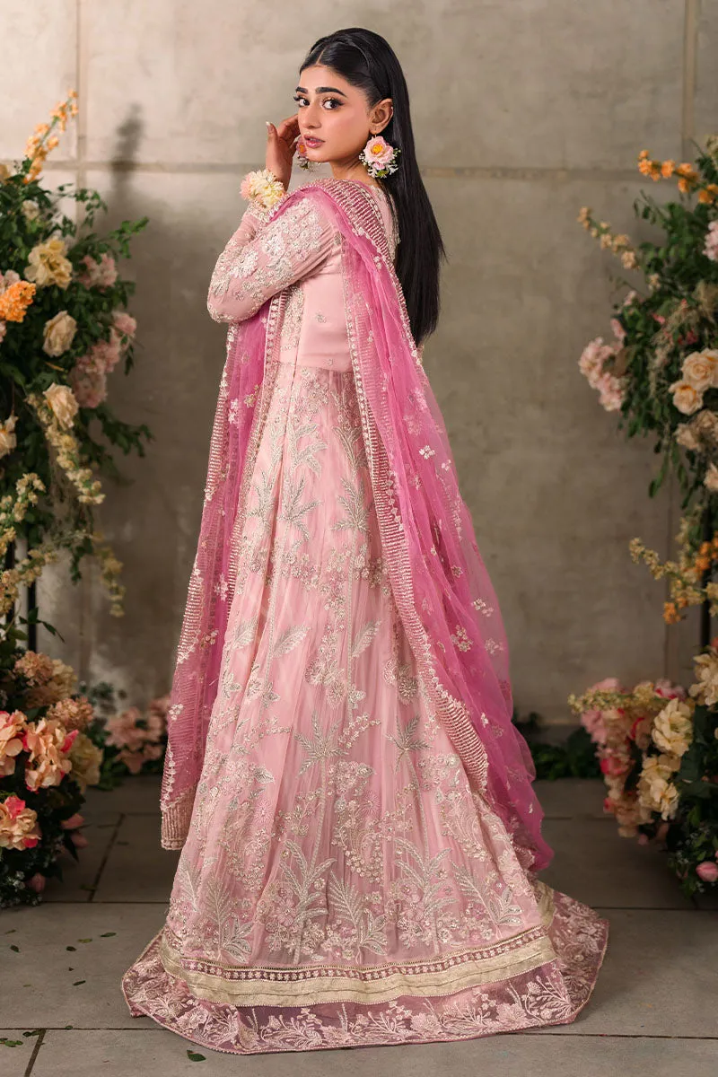 MUSHQ | Mastani Evening Luxury Chiffon Collection | MAISHA