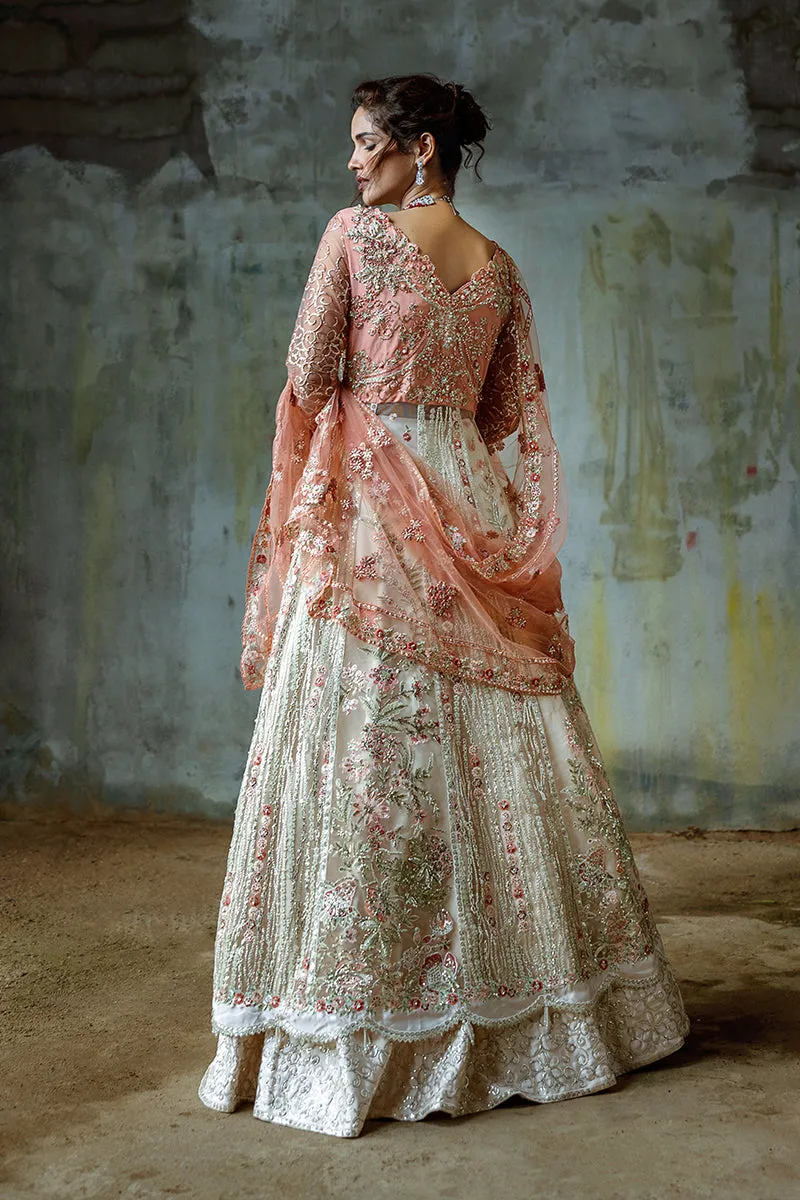 Mushq Stardust Wedding Collection 2024 | Galaxy Gown