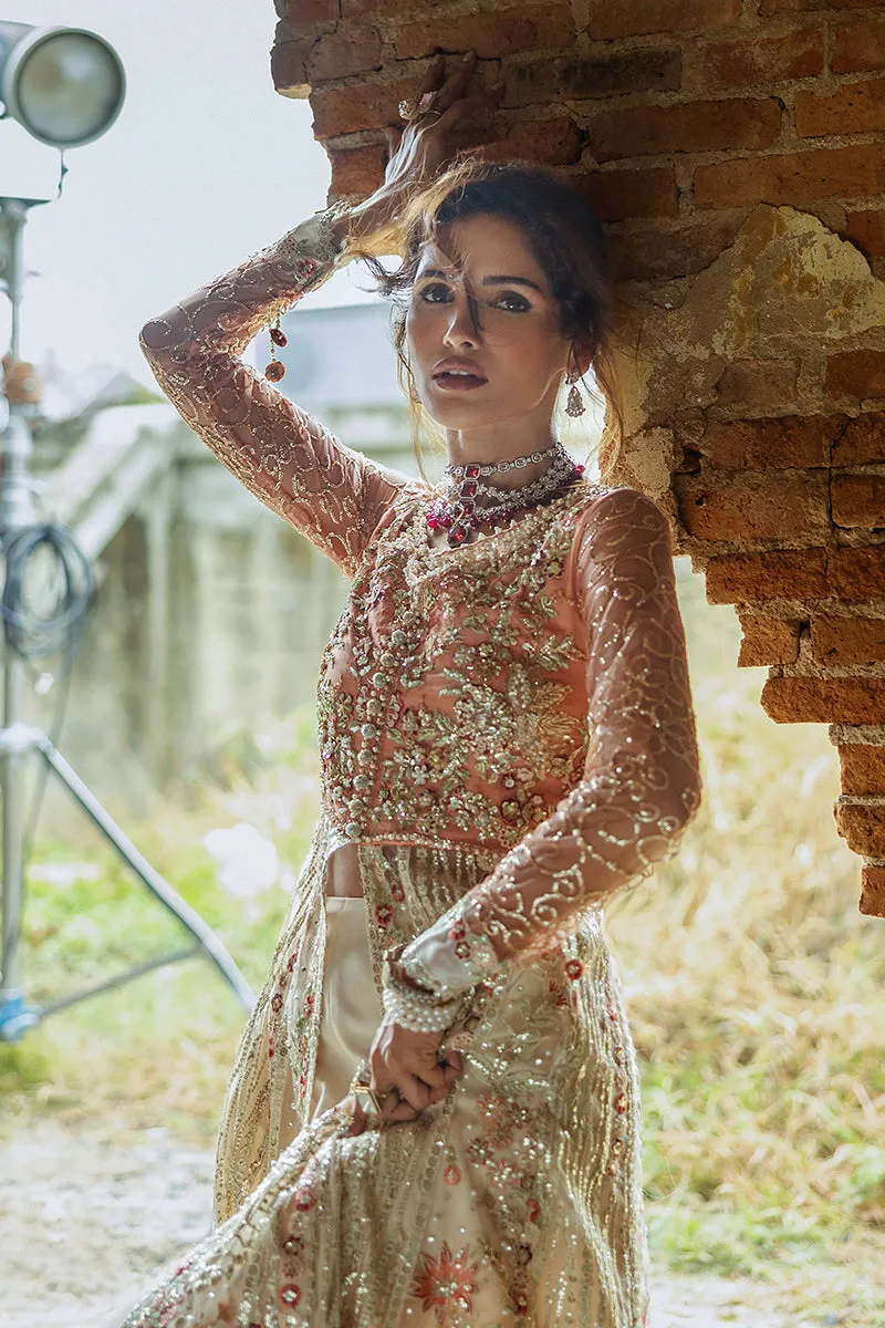 Mushq Stardust Wedding Collection 2024 | Galaxy Gown