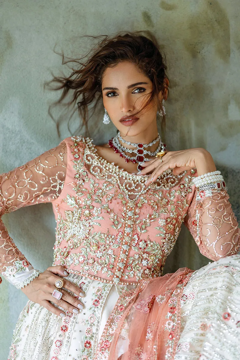 Mushq Stardust Wedding Collection 2024 | Galaxy Gown