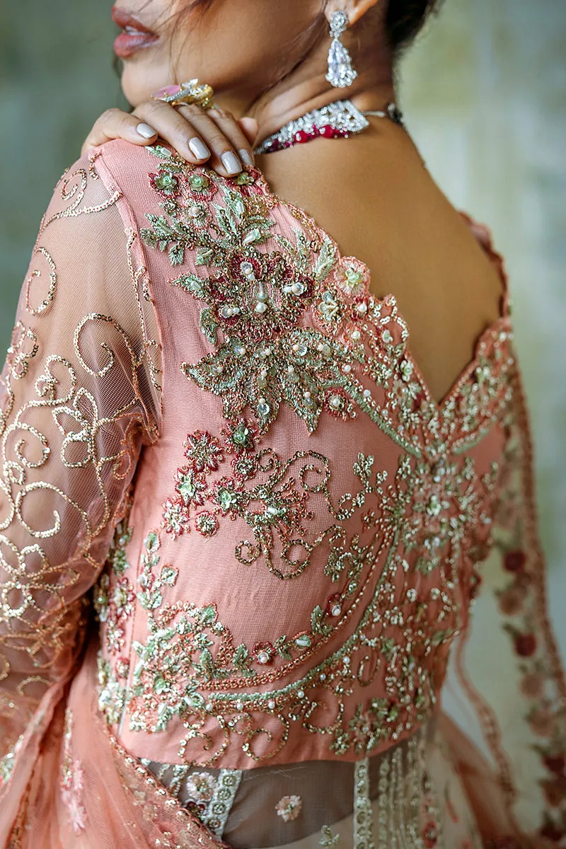 Mushq Stardust Wedding Collection 2024 | Galaxy Gown