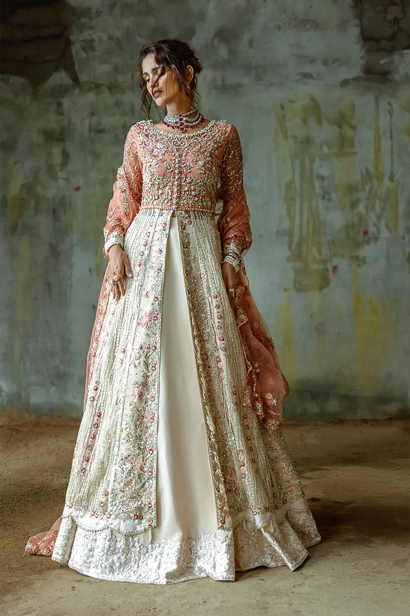 Mushq Stardust Wedding Collection 2024 | Galaxy Gown