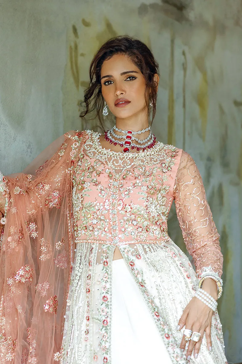 Mushq Stardust Wedding Collection 2024 | Galaxy Gown