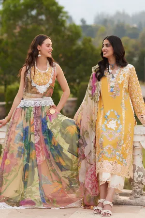 MUSHQ | TE AMO LUXURY LAWN '24 | MILANO MODA