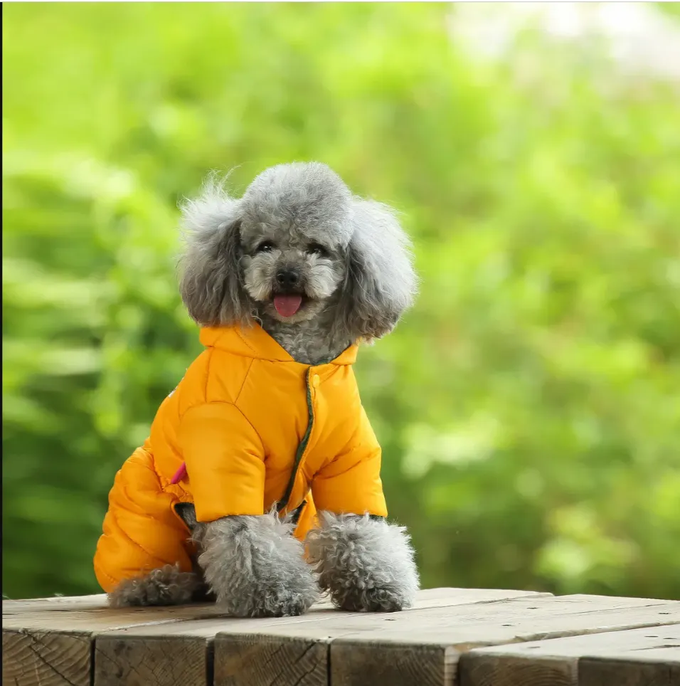 Pet Puffer Jacket - Luxury Warm Winter Snowsuit