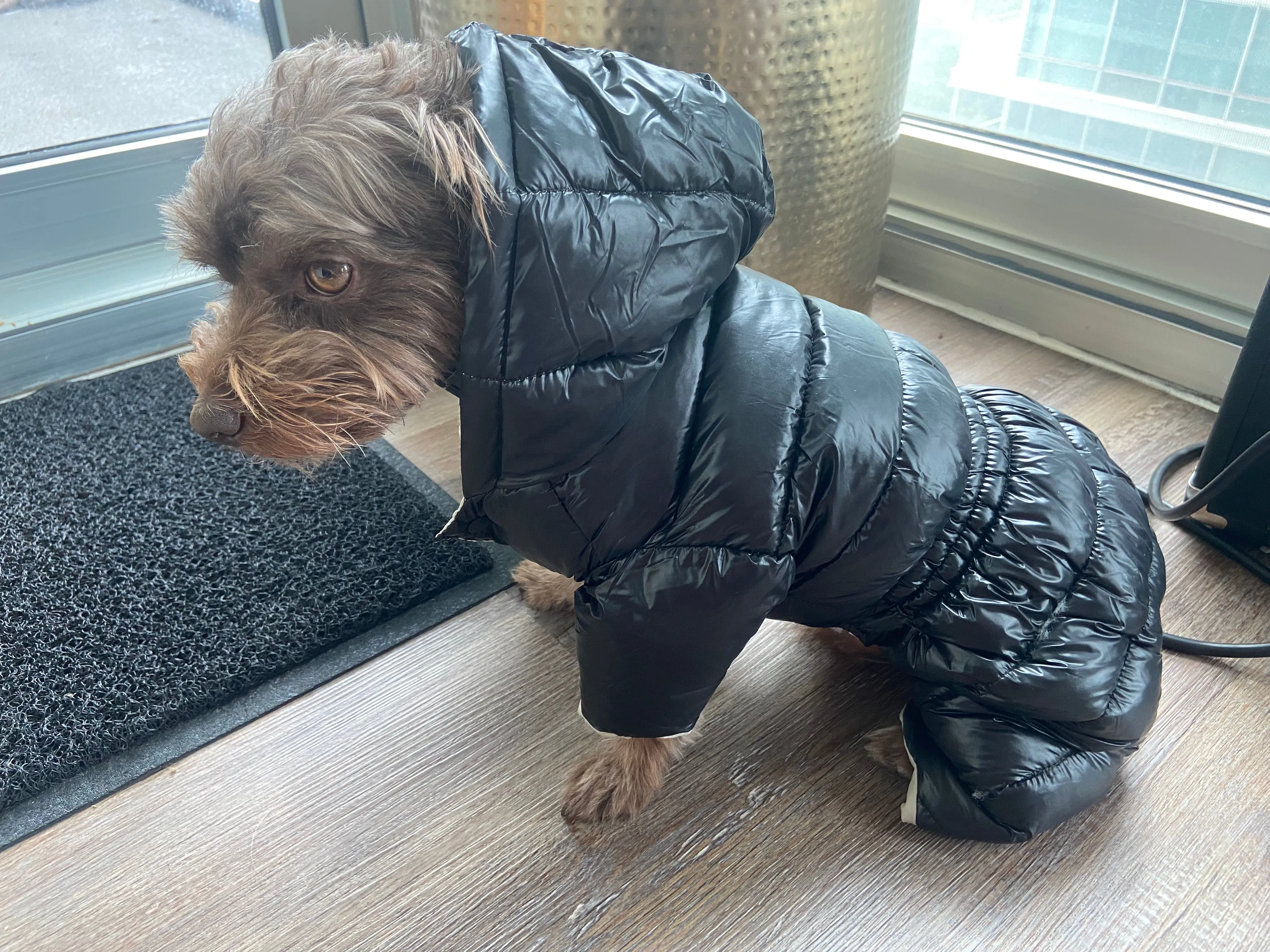 Pet Puffer Jacket - Luxury Warm Winter Snowsuit