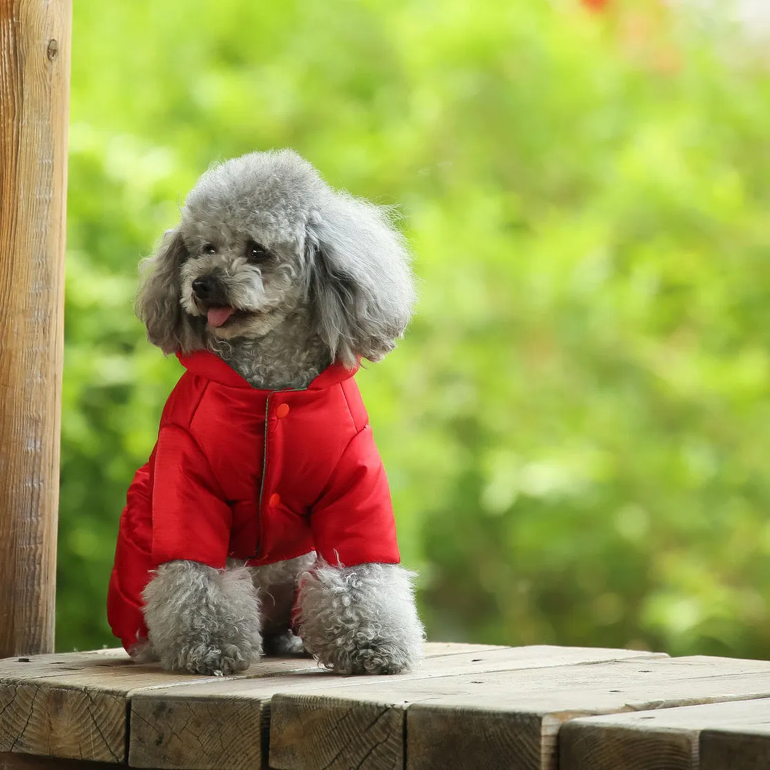 Pet Puffer Jacket - Luxury Warm Winter Snowsuit