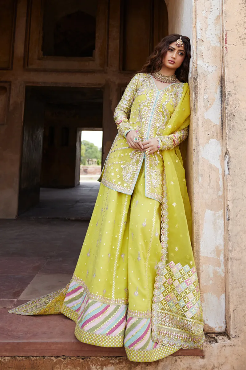 Qalamkar Shadmani Luxury Formals '24 | Dania SH-05
