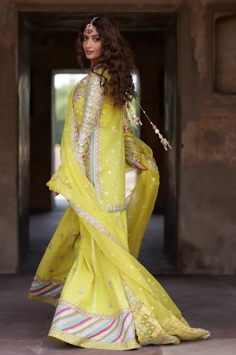 Qalamkar Shadmani Luxury Formals '24 | Dania SH-05