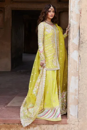 Qalamkar Shadmani Luxury Formals '24 | Dania SH-05