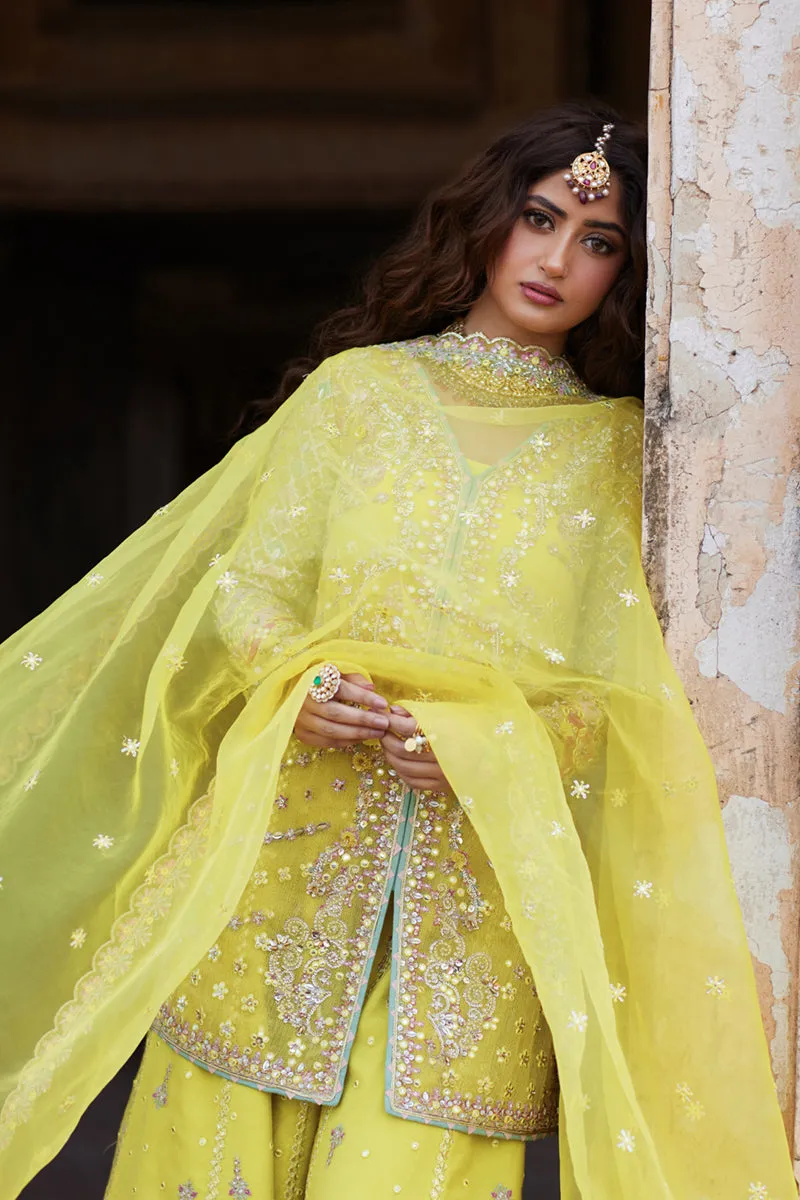 Qalamkar Shadmani Luxury Formals '24 | Dania SH-05