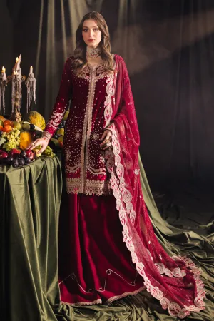 QALAMKAR VELVET EDIT '24 | BK-02 AMARA