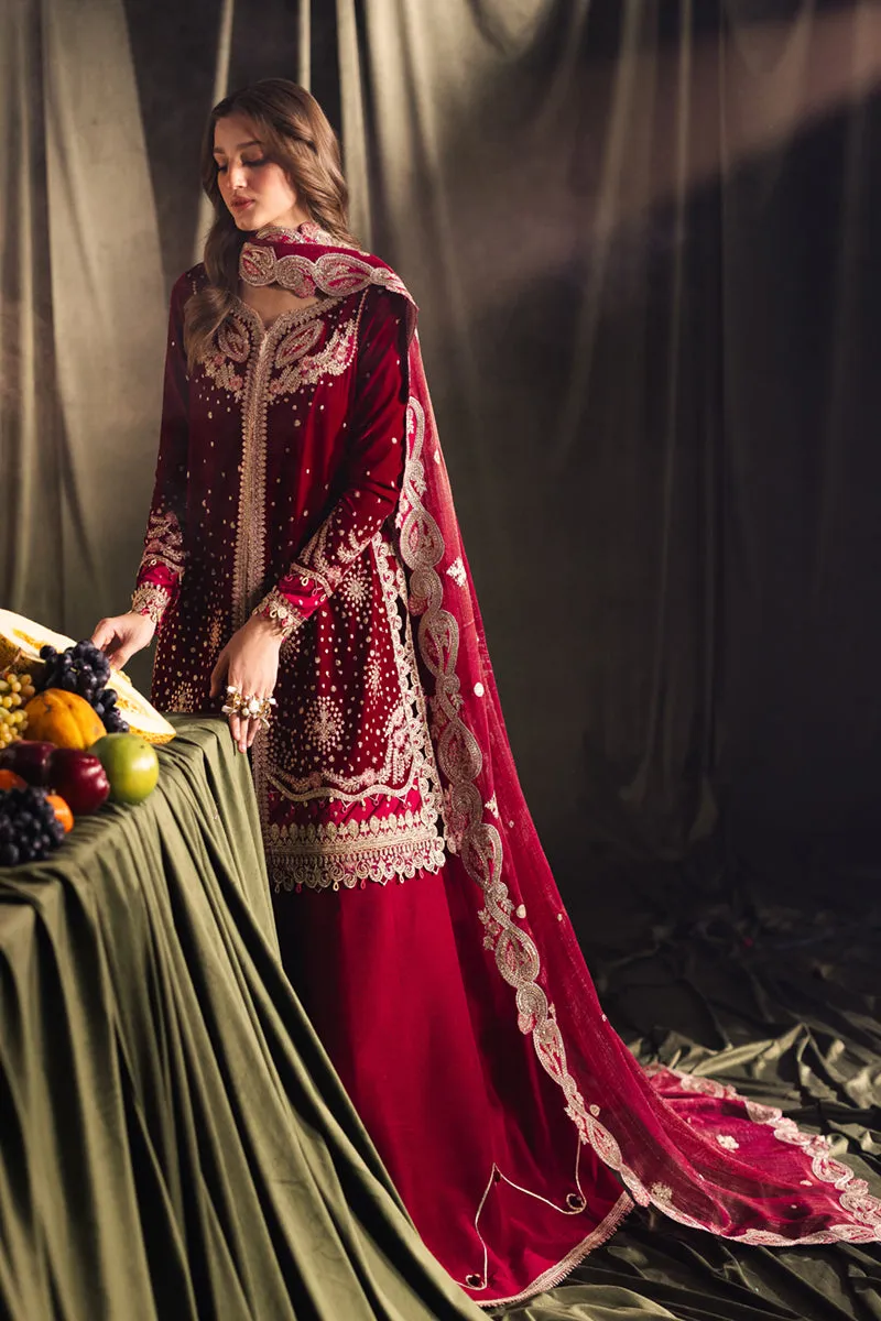QALAMKAR VELVET EDIT '24 | BK-02 AMARA