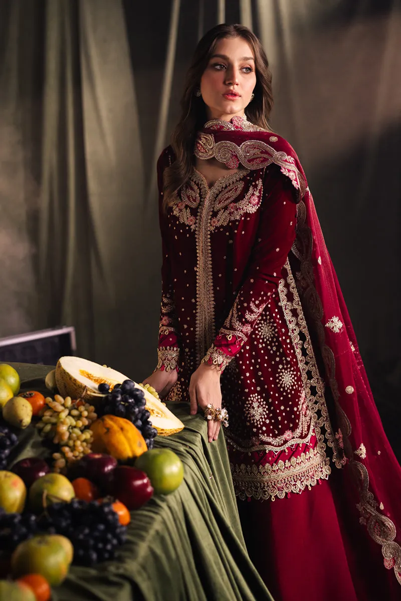 QALAMKAR VELVET EDIT '24 | BK-02 AMARA