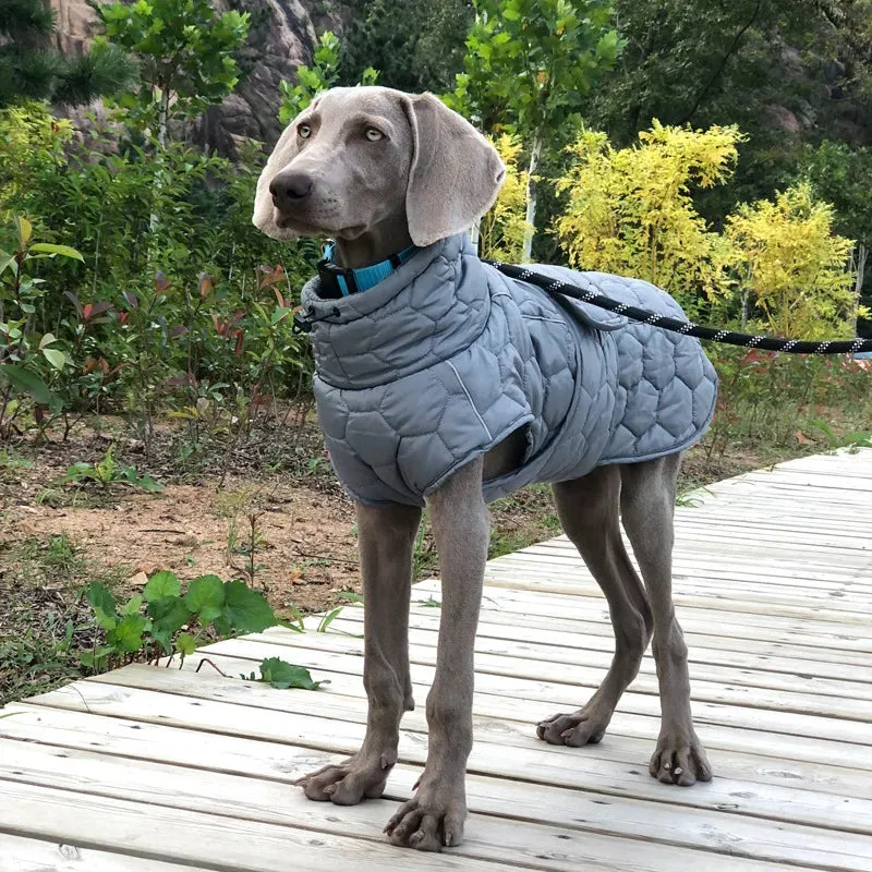 Reflective Winter Jacket for Large Dogs