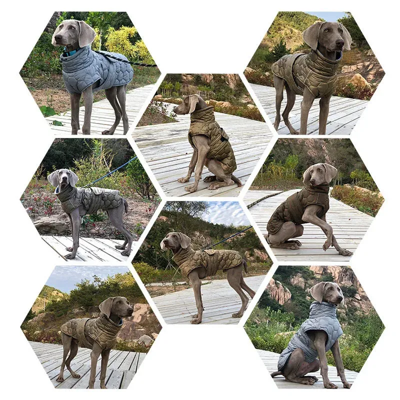 Reflective Winter Jacket for Large Dogs