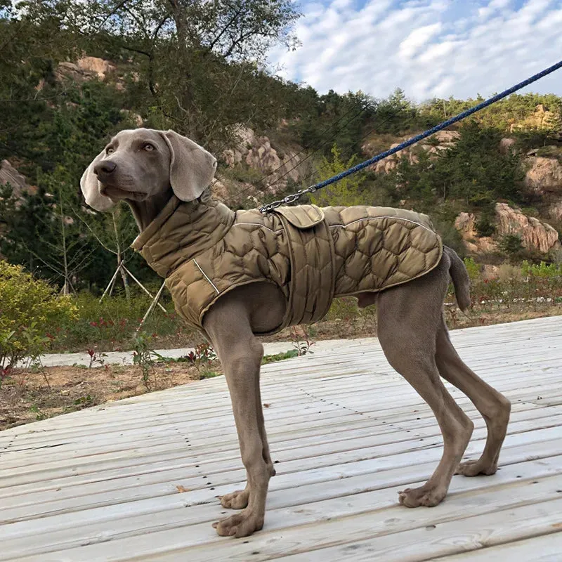 Reflective Winter Jacket for Large Dogs