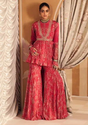 Royal fuchsia gulsitan peplum and gharara set